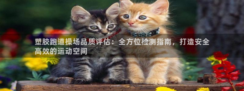 谈球吧平台正规吗可靠吗安全吗：塑胶跑道操场品质评估：全方位检测指南，打造安全
高效的运动空间