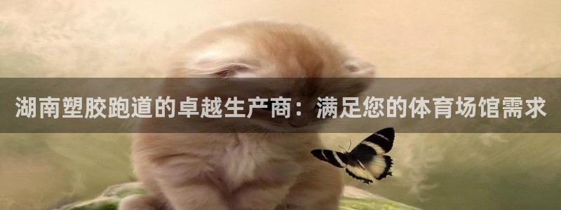 谈球吧平台正规吗可信吗安全吗：湖南塑胶跑道的卓越生产商：满足您的体育场馆需求