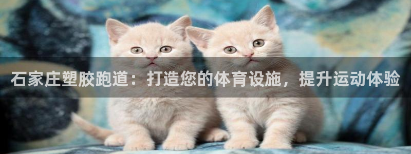 谈球吧APP开元：石家庄塑胶跑道：打造您的体育设施，
