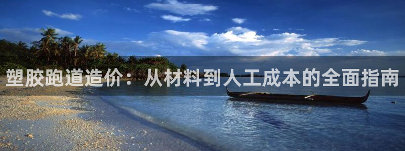 谈球吧被黑不给提现：塑胶跑道造价：从材料到人工成本的全面指南