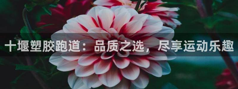 谈球吧靠谱吗：十堰塑胶跑道：品质之选，尽享运动乐趣