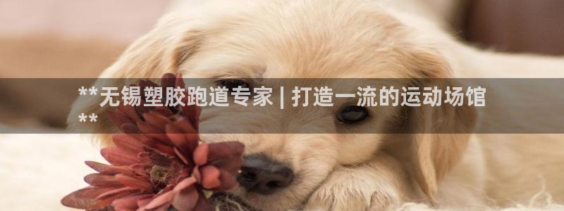 谈球吧体育app下载中心官网手机版：**无锡塑胶跑道