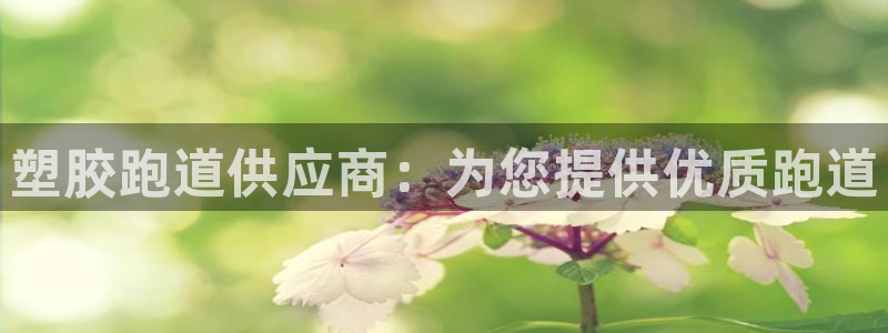 谈球吧是黑台子吗还是白台子：塑胶跑道供应商：为您提供
