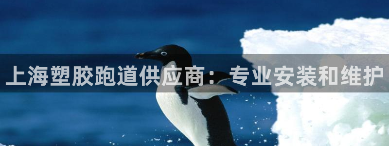谈球吧算违法行为吗知乎：上海塑胶跑道供应商：专业安装和维护