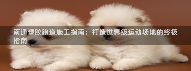 谈球吧下载地址：南通塑胶跑道施工指南：打造世界级运动场地的终极
指南