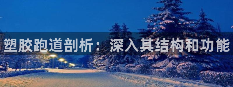谈球吧登录地址：塑胶跑道剖析：深入其结构和功能