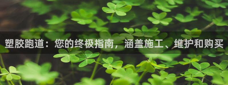 谈球吧官网在线入口手机版：塑胶跑道：您的终极指南，涵盖施工、维护和购买