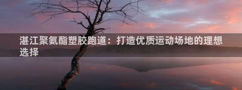 谈球吧官网在线入口免费观看视频：湛江聚氨酯塑胶跑道：打造优质运动场地的理想
选择
