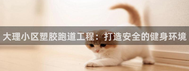 谈球吧app体育下载：大理小区塑胶跑道工程：打造安全