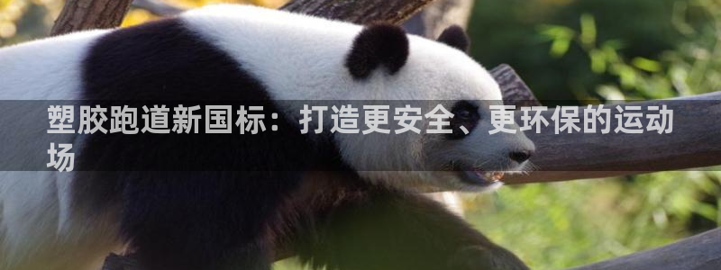 谈球吧平台正规吗可信吗知乎：塑胶跑道新国标：打造更安
