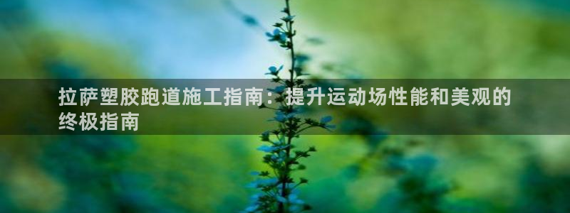 谈球吧登录：拉萨塑胶跑道施工指南：提升运动场性能和美观的
终极指南