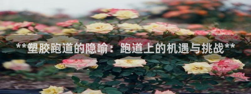 谈球吧app官方下载：**塑胶跑道的隐喻：跑道上的机遇与挑战**