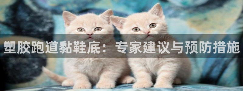 谈球吧体育app官网：塑胶跑道黏鞋底：专家建议与预防措施