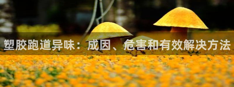 谈球吧app在哪里下载：塑胶跑道异味：成因、危害和有效解决方法