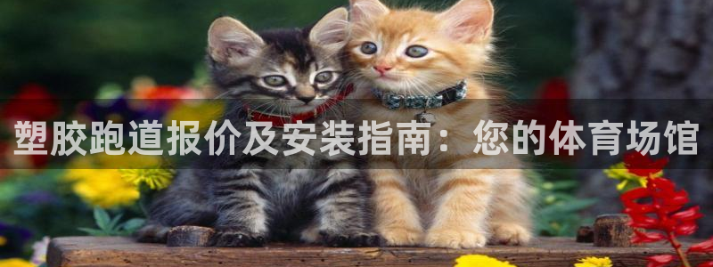 谈球吧与普通平台对比：塑胶跑道报价及安装指南：您的体