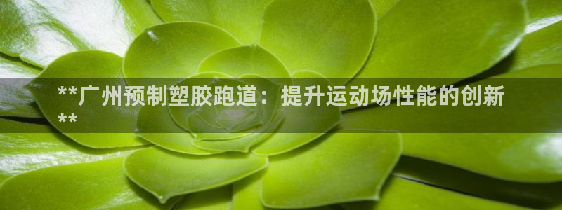 谈球吧黑款不：**广州预制塑胶跑道：提升运动场性能的创新
**