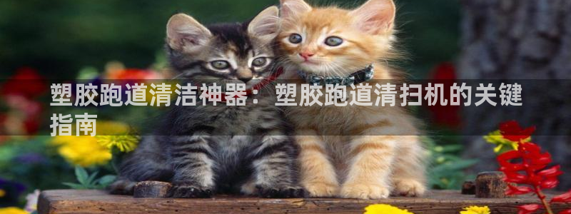 谈球吧官网入口：塑胶跑道清洁神器：塑胶跑道清扫机的关