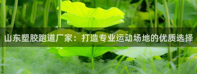 谈球吧官网在线入口手机版：山东塑胶跑道厂家：打造专业