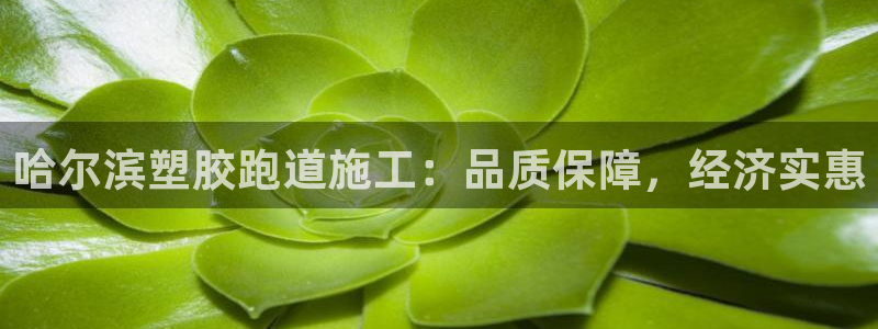 谈球吧体育app下载中心官方：哈尔滨塑胶跑道施工：品质保障，经济实惠