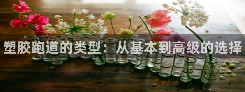 谈球吧体育app下载中心在哪找：塑胶跑道的类型：从基