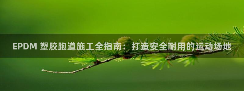 谈球吧在线登录免费观看：EPDM 塑胶跑道施工全指南：打造安全耐用的运动场地