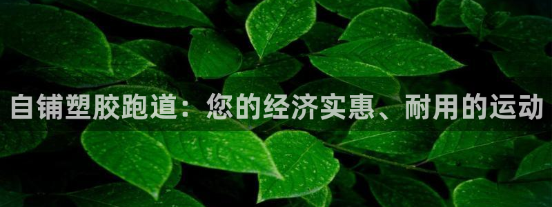 谈球吧首页：自铺塑胶跑道：您的经济实惠、耐用的运动