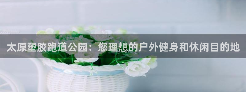 谈球吧体育app下载足球直播视频：太原塑胶跑道公园：