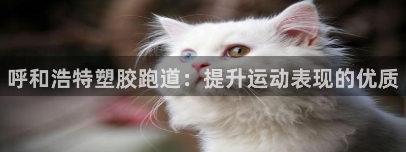 谈球吧nba：呼和浩特塑胶跑道：提升运动表现的优质