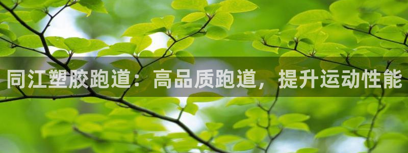 谈球吧体育app官网下载：同江塑胶跑道：高品质跑道，提升运动性能