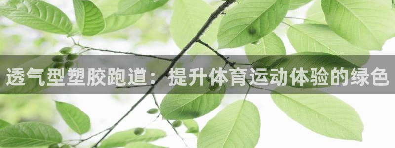 谈球吧打不开了