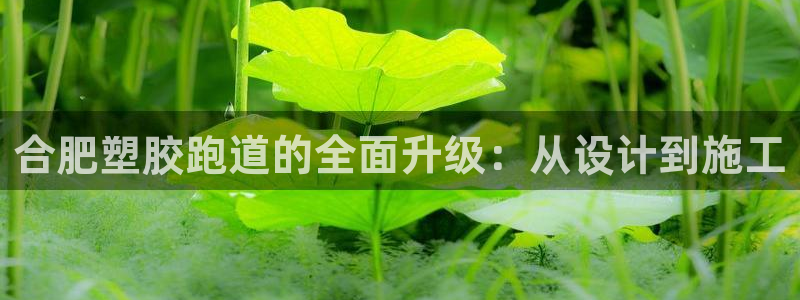 谈球吧平台app下载网址