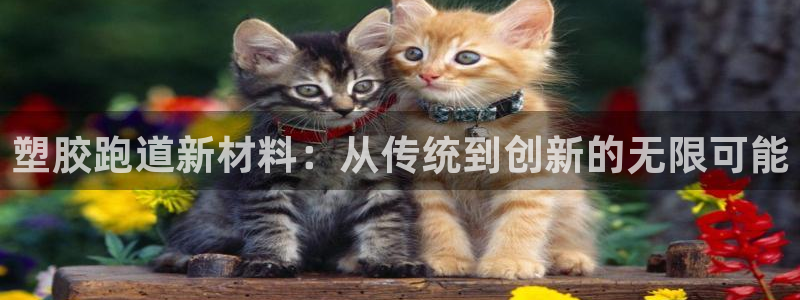 谈球吧网页版在线入口