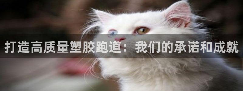 谈球吧App