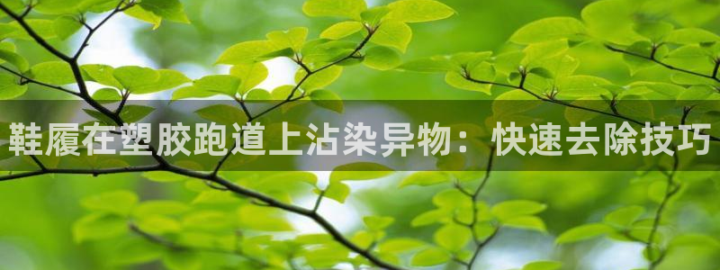 谈球吧的聊天软件是什么：鞋履在塑胶跑道上沾染异物：快速去除技