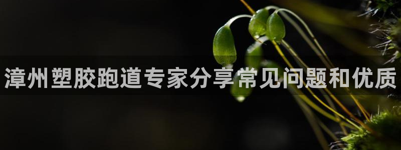 谈球吧电子app：漳州塑胶跑道专家分享常见问题和优质