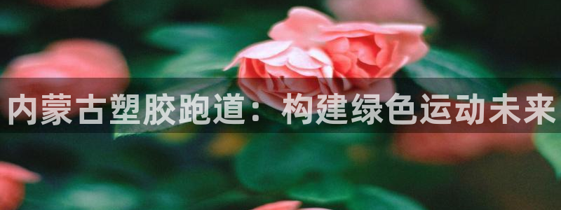 谈球吧官网在线入口免费观看视频下载
