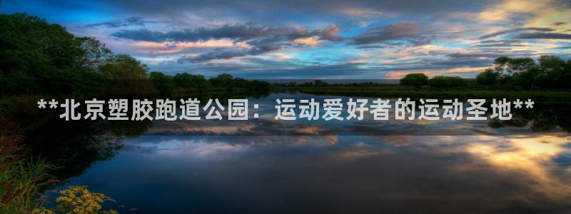谈球吧不出款：**北京塑胶跑道公园：运动爱好者的运动圣地**
