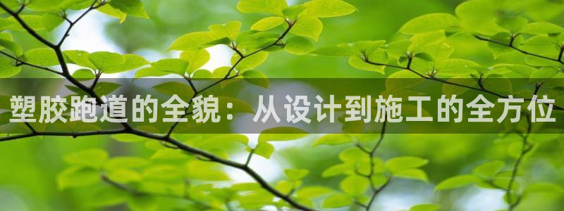 谈球吧红包激活码