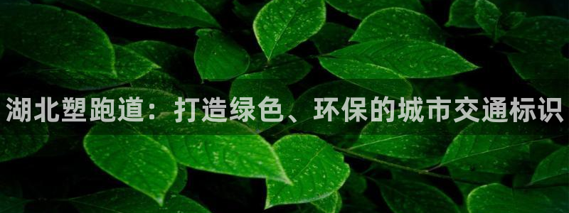 谈球吧官网在线入口手机版免费观看