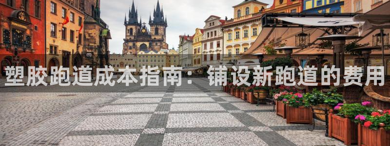 谈球吧app体育下载：塑胶跑道成本指南：铺设新跑道的费用