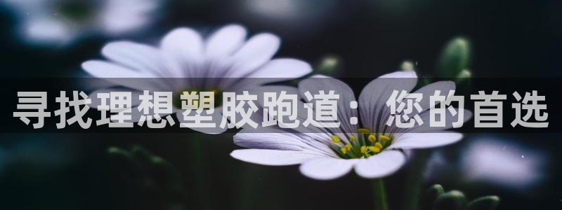 谈球吧体育app下载官网苹果版