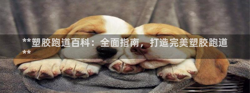 谈球吧不出款：**塑胶跑道百科：全面指南，打造完美塑胶跑道
