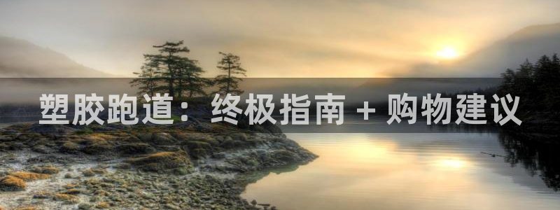 谈球吧出款：塑胶跑道：终极指南 + 购物建议