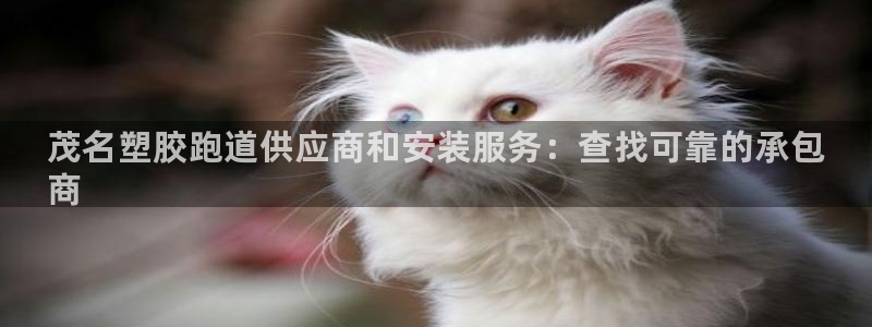 谈球吧红包激活码：茂名塑胶跑道供应商和安装服务：查找可靠的承