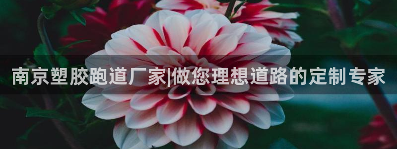 谈球吧-体育赛事