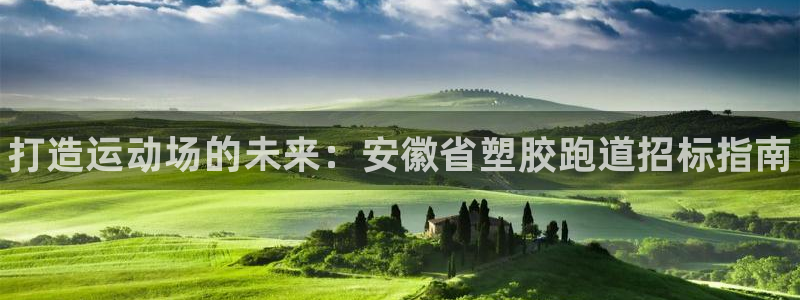 谈球吧tvt：打造运动场的未来：安徽省塑胶跑道招标指南