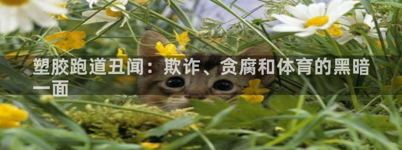 谈球吧体育app下载官网手机版：塑胶跑道丑闻：欺诈、