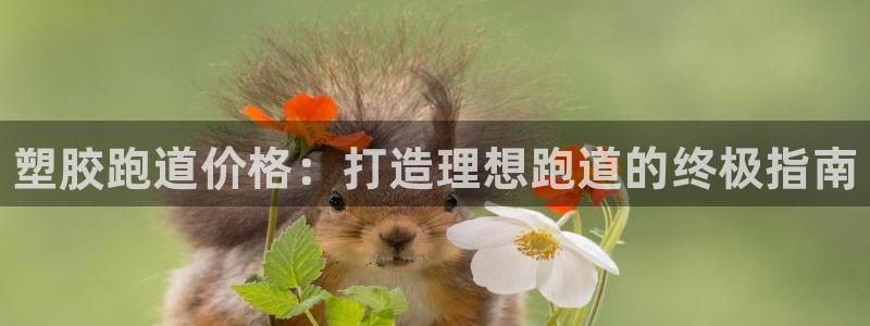 谈球吧体育app下载官网苹果手机：塑胶跑道价格：打造