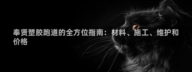 谈球吧体育app下载中心官方：奉贤塑胶跑道的全方位指南：材料