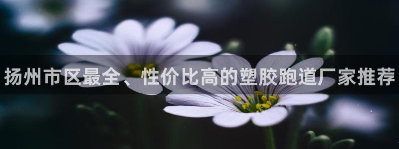 谈球吧在线登录免费观看